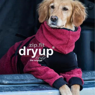Produktbild von Dryup Body Zip Fit Bordeaux XXL (74cm)