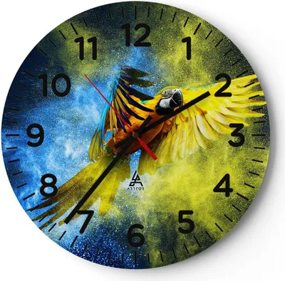 Produktbild von Wanduhr - Rund - Glasuhr - Papagei Vogel Feder - 30x30cm - Schleichendes Uhrwerk - Lautlos - zum Aufhängen bereit - Dekoration Modern - Wanddekoration aus Glas - C4AR30x30-3666