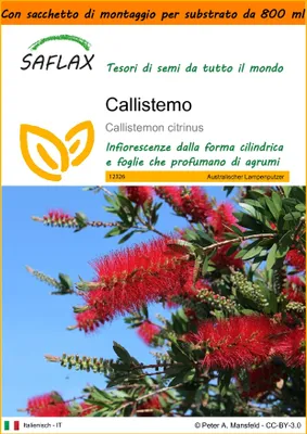 Immagine prodotto di SAFLAX Garden in the bag - Callistemo - 400 semi - Callistemon