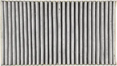 Produktbild von Geruchsfilter Passend für Miele Dkf29-P 11292130 Bluparts in Dunstabzugshaube