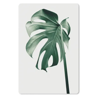 Produktbild von MuchoWow® Mauspad Mousepad Monstera - Blätter - Grün - Stilleben 18x27 cm - Mousepads - Maus Mat - Pad - Mausunterlage