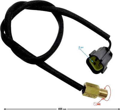 Immagine prodotto di Falcon 125 (E5) Sensore di temperatura