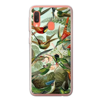 Produktbild von MuchoWow® Handyhülle Schutzhülle Hülle für Samsung Galaxy A20e Trochilidae - Alte Meister - Kunst Silikon Softcase Handy Hülle - Abdeckung