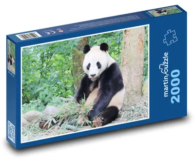 Zdjęcie produktu dla martinpuzzle - Puzzle 2000 - Miś Panda