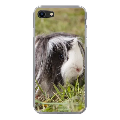 Produktbild von MuchoWow® Handyhülle Schutzhülle Hülle für iPhone 7 Langhaar-Meerschweinchen Silikon Softcase Handy Hülle - Kartenhalter