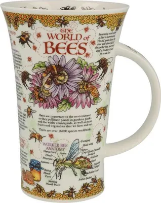 Zdjęcie produktu dla Becher Glencoe, „Świat pszczół”