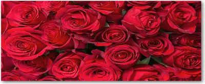 Produktbild von Tulup® Glas-Bild Wandbild aus Glas - 125x50 - Wandkunst - Wandbild hinter gehärtetem Sicherheitsglas - Dekorative Wand für Küche & Wohnzimmer  - Blumen & Pflanzen - Rote Rosen - Rot