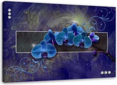 Zdjęcie produktu dla Obraz na płótnie, Orchidea kwiaty abstrakcja niebieski 100x70 cm Feeby niebieski obraz na ścianę  gotowy do powieszenia
