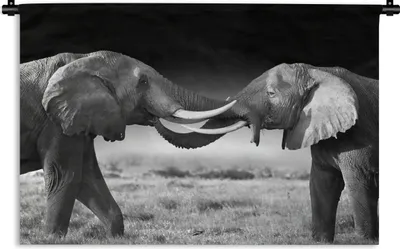Produktbild von MuchoWow® Wandteppich Wandbehang Elefant - Tiere - Schwarz und weiß - Porträt - Landschaft 120x80 cm Tapisserie Dekoration Wandtuch - Wanddekorationen - Wandtücher