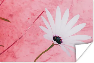 Produktbild von MuchoWow® Poster Blumen - Rosa - Vintage 60x40 cm - Schlafzimmerdekoration