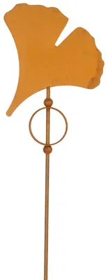 Image de Fiche de jardin Ginkgo rouille