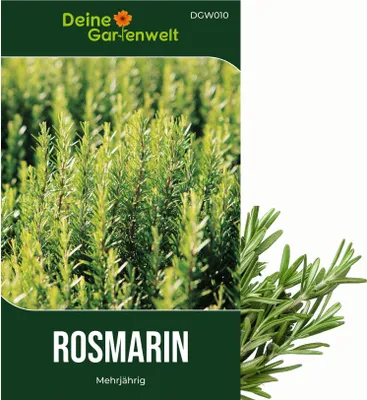 Produktbild von Rosmarin Mehrjährig Samen - Rosmarinus officinalis - Rosmarinsamen - Kräutersamen - Saatgut für 20 Pflanzen