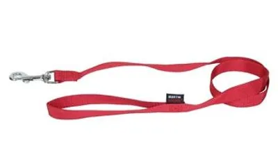 Imagen del producto de Correa básica de nylon para perros, marca Martin
