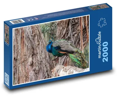 Obrázek produktu pro Puzzle 2000 Páv mezi stromy - martinpuzzle