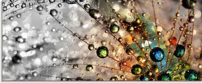Produktbild von agika7: Farbenfrohe Natur - Glasbild, Größe:50x125 cm / Glasbild