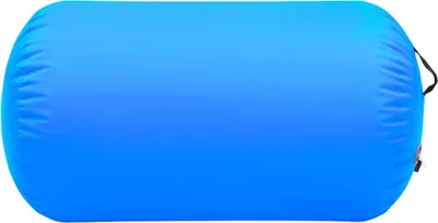 Obrázek produktu pro vidaXL Nafukovací gymnastická role s pumpou 100x60 cm PVC modrá