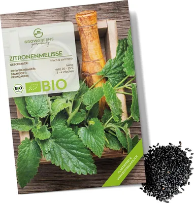 Produktbild von Zitronenmelisse Samen - Heilkräuter Saatgut aus biologischem Anbau ideal für den heimischen Kräutergarten, Balkon & Garten (500 Korn)
