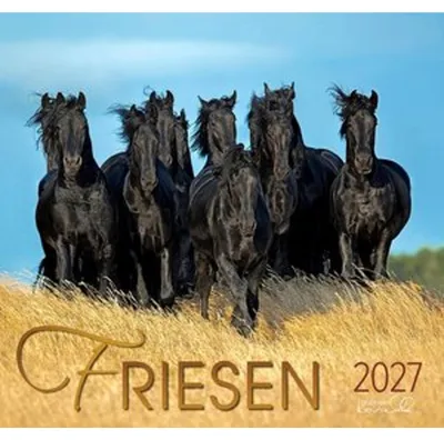 Immagine prodotto di Friesen 2027