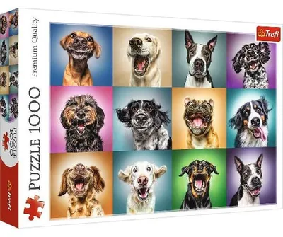 Produktbild von Puzzles - "1000" - Lustige Hunde Porträts