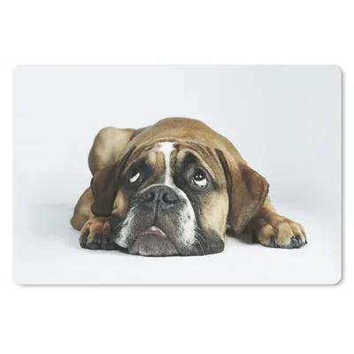 Produktbild von MuchoWow® Mauspad Mousepad Hund - Haustiere - Weiß 27x18 cm - Mousepads - Maus Mat - Pad - Mausunterlage - Büroartikel - Desk Matten