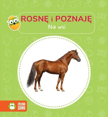 Produktbild von Rosnę i poznaję Na wsi - (Buch auf Polnisch)