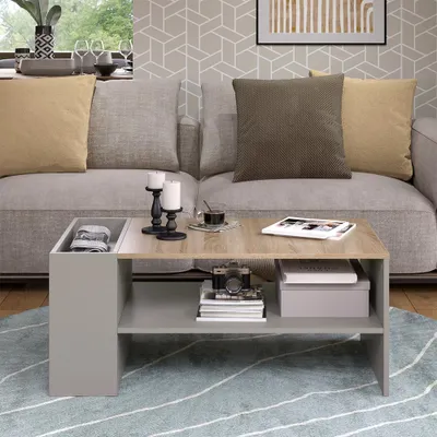 Image de Table basse Vicco Wido Grège 100x55cm avec des étagères, Model 56616