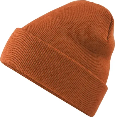 Image de Beechfield bonnet tricoté unie / bonnet, très doux RW210 (taille unique) (Blanc)
