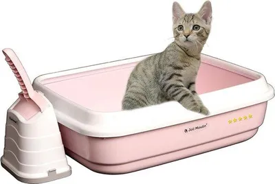 Produktbild von Famanu Katzentoilet Praktische Hygienehalterung - Offen