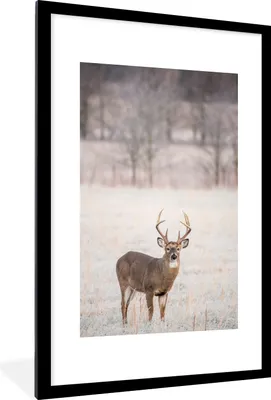 Produktbild von MuchoWow® MuchoWow® Gerahmtes Poster Hirsche - Braun - Winter 60x90 cm - Poster mit zchwarzem Bilderrahmen - Dekoration - Wandposter Wohnzimmer - Hochwertig