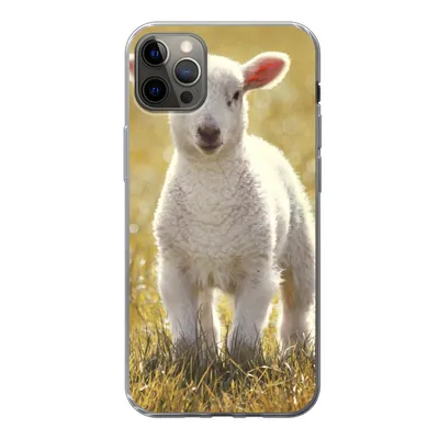 Produktbild von MuchoWow® Handyhülle Schutzhülle Hülle für iPhone 13 Pro Max Schafe - Gras - Sonne Silikon Softcase Handy Hülle - Mobiltelefon