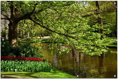 Produktbild von Wallario Outdoor-Poster für Garten oder Balkon, Motiv Bunte Blumen im Park am Wasser - Frühblüher am Ufer, in ca. 100 x 150 cm