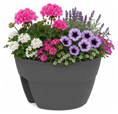 Produktbild von EDA Balkon - Pflanzkubel / Blumentopf „Osaka“ - Anthrazit - 30 x 20 cm - rund - Kunststoff