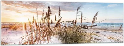 Produktbild von Bilder auf glas - Einteilig - Möwe Meer Küste - 160x50cm - Glasbilder - Wandbilder - Bilder - zum Aufhängen bereit - Wanddekoration aus Glas - Glas Bilder - Wandbild auf Glas - GAB160x50-4902