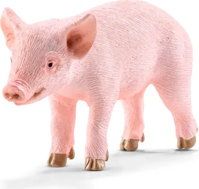 Produktbild von Schleich 17062 Ferkel Figur