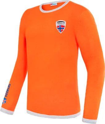 Productafbeelding van Nebulus gebreide trui CEM, casual trui, veelzijdig, model P5063 - heren, oranje-grijs, maat L