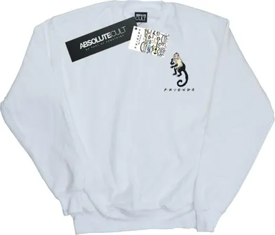 Produktbild von Friends - Sweatshirt für Herren BI24716 (L) (Weiß)