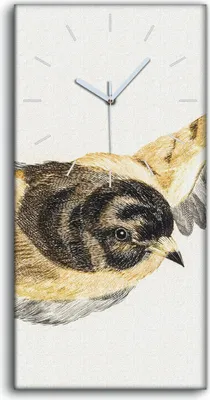 Produktbild von Küche Wohnzimmer Wand Leinwand Uhr Geräuschlos 30x60 Zeichnung Tier Vogel Kunst - weiße Hände