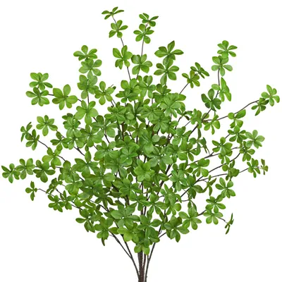 Kunstzweige 6er-Set, 100 cm, Enkianthus, Grün, für Vasen