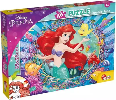Image de 48 puzzles double face Ariel