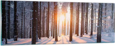 Produktbild von Bilder auf glas - Wald Winter Schnee - 90x30cm - Glasbilder - Wandbilder - Kunstdruck - zum Aufhängen bereit - Wanddekoration aus Glas - Glas Bilder - Wandbild auf Glas - Einteilig - GAB90x30-3629