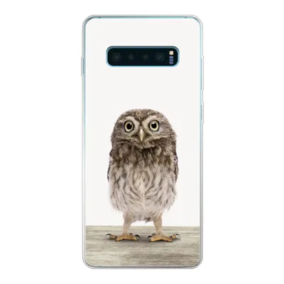 Produktbild von MuchoWow® Handyhülle Schutzhülle Hülle für Samsung Galaxy S10 Plus Eule - Braun - Eulenküken - Kinder - Jungen - Mädchen Silikon Softcase Handy Hülle - Schutzhülle