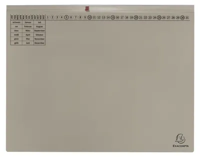 Image de EXACOMPTA H "ngehefter Exaflex Premium, 2x droite, gris