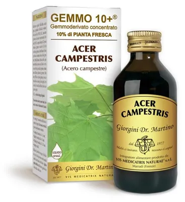 Produktbild von Gemmo 10+ Extrakt Aus Waldstrauch, 100 Ml, Alkoholfrei