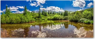 Produktbild von Tulup® Glas-Bild Wandbild aus Glas - 125x50 - Wandkunst - Wandbild hinter gehärtetem Sicherheitsglas - Dekorative Wand für Küche & Wohnzimmer  - Landschaften - See im Wald - Mehrfarbig