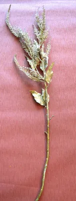 Produktbild von 1 Dekozweig Kunstzweig, gold beglimmert ca. 120cm