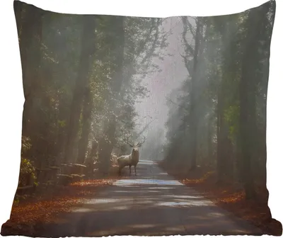 Produktbild von MuchoWow® Outdoor Kissen - Hirsche - Wald - Sonnenstrahlen - 60x60 cm - Wetterfest - Lounge Kissen - Dekoration - Schlaf Kissen