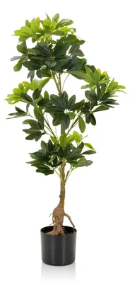 Obrázok produktu pre hjh OFFICE Umelá rastlina SCHEFFLERA Umelá rastlina ray-leaved aralia Výška 100,0 cm Deco