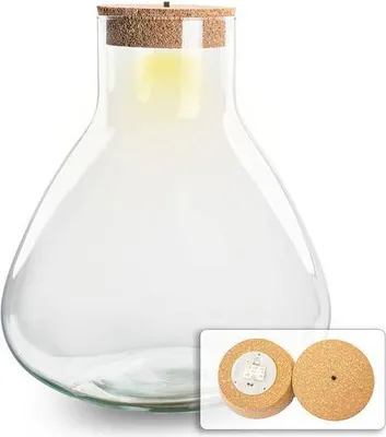 Obrázek produktu pro Skleněná zahrada ↕32 cm – nenáročná skleněná zahrada, rostlinné terárium do obývacího pokoje a kanceláře