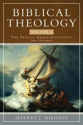 Obrázok produktu pre Biblical Theology, Volume 3