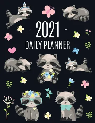 Produktbild von Waschbär Tagesplaner 2021